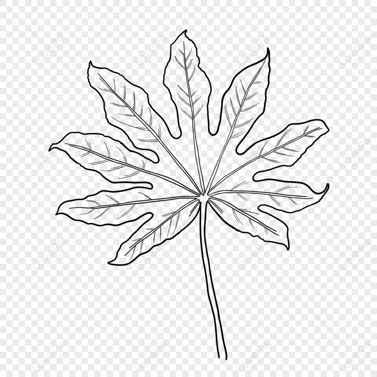 100,000 Papaya leaf Vector Images | Depositphotos