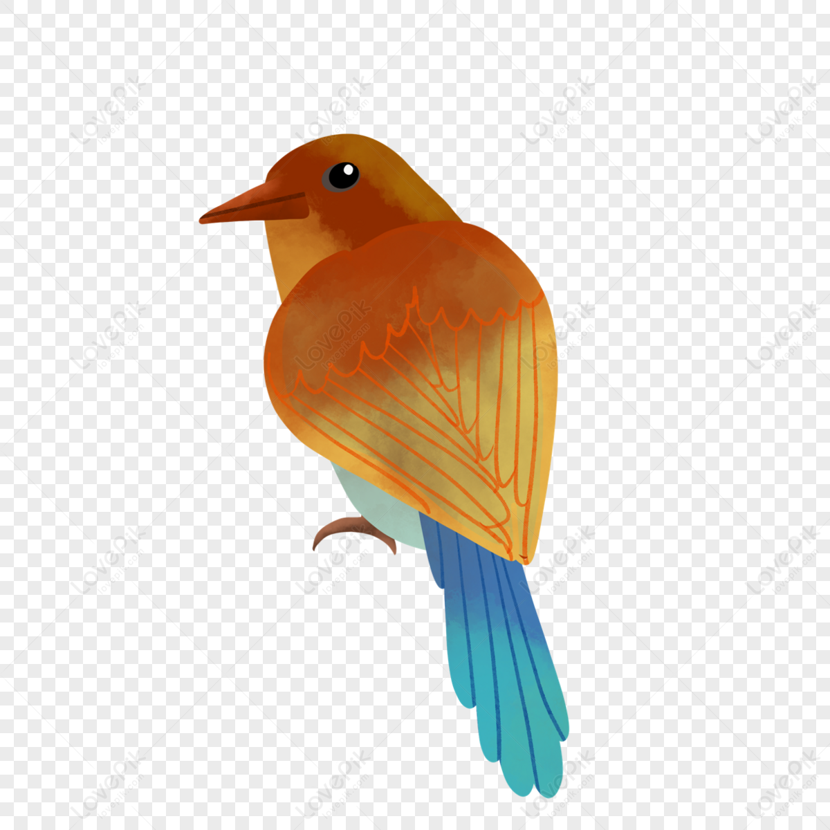 Watercolor blue tail bird animals,birds,natural,feather png picture