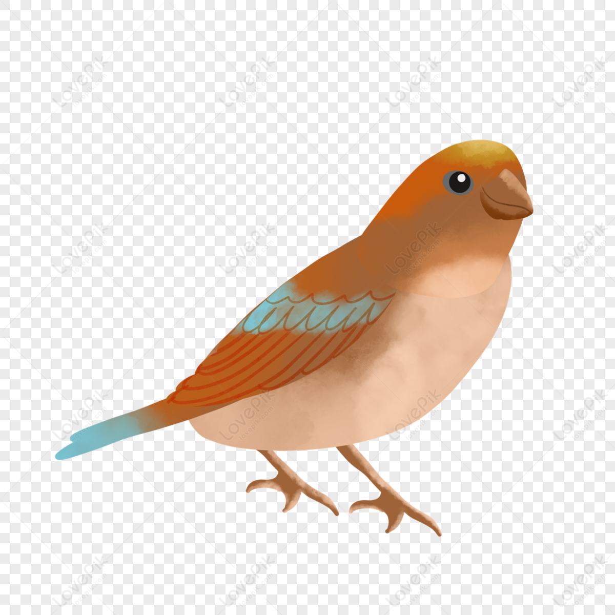 Watercolor brown bird animal,blue,bird png,yellow png transparent background