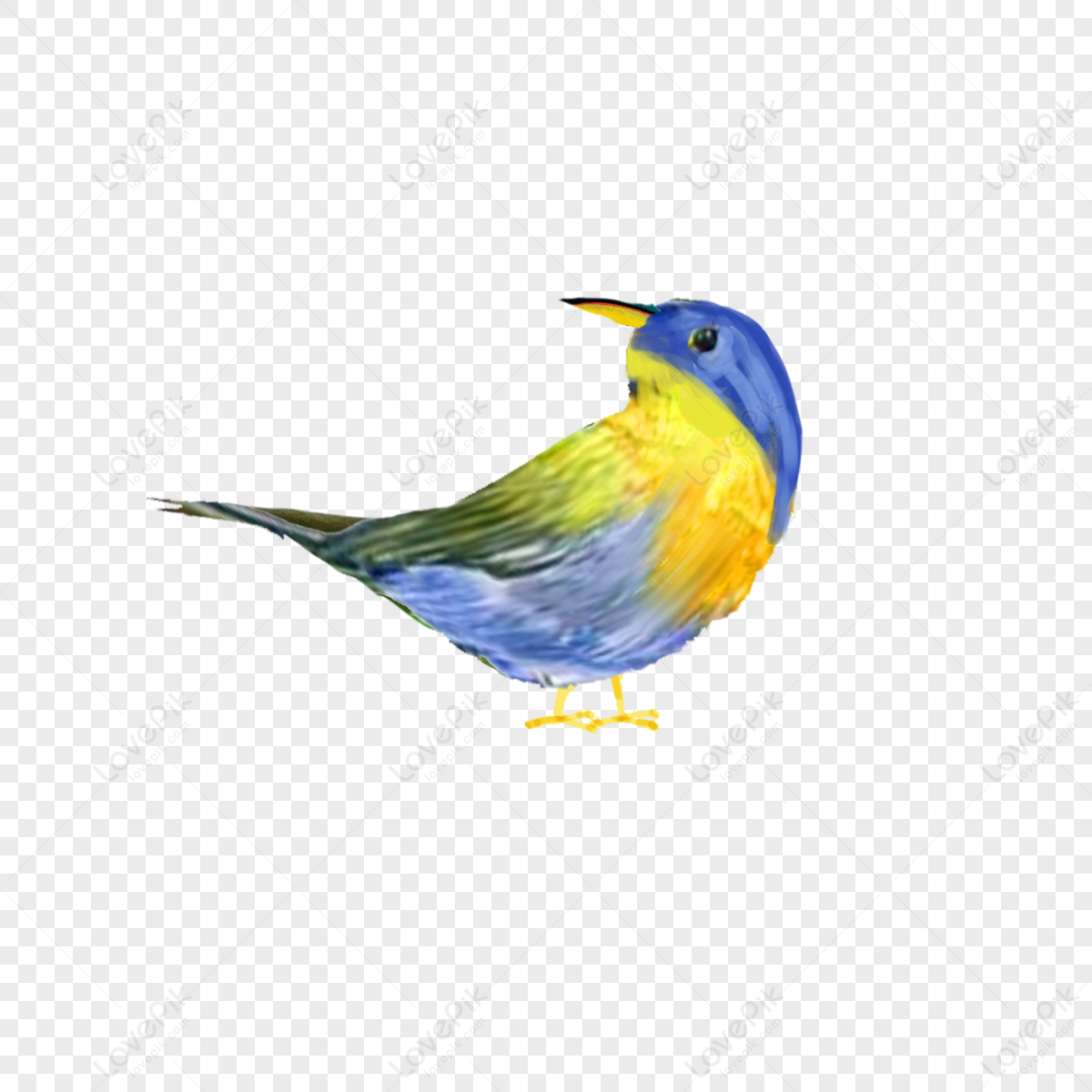 Watercolor Cartoon Bird,watercolor Birds,birds,cartoon Style PNG ...