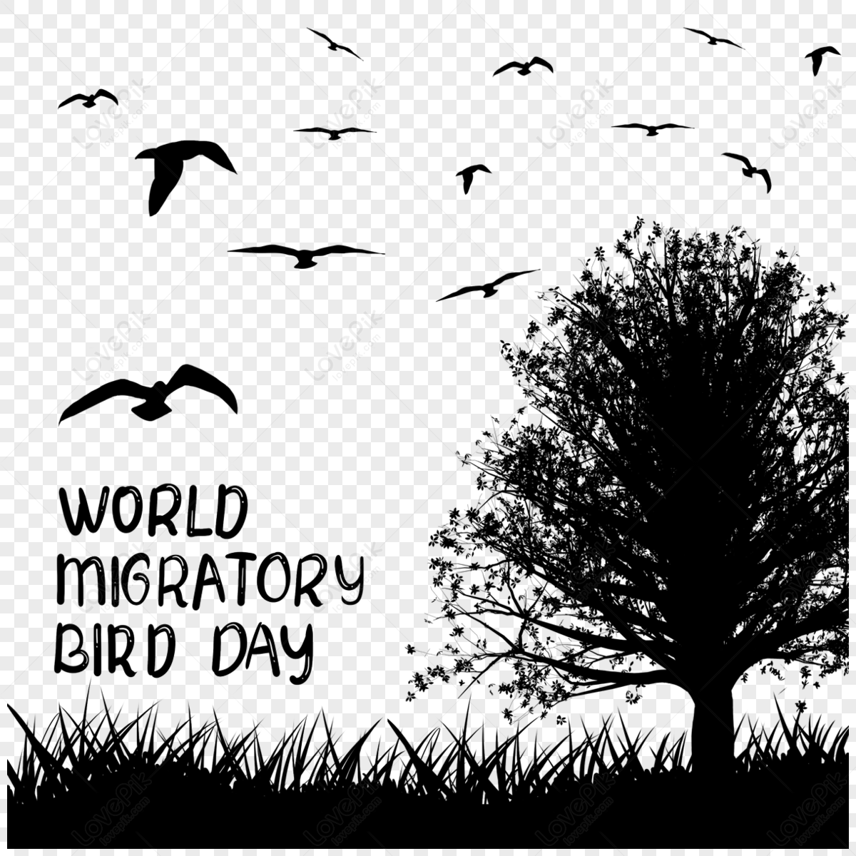 world-migrant-bird-day-flying-bird-migration-silhouette-dai-holiday-png