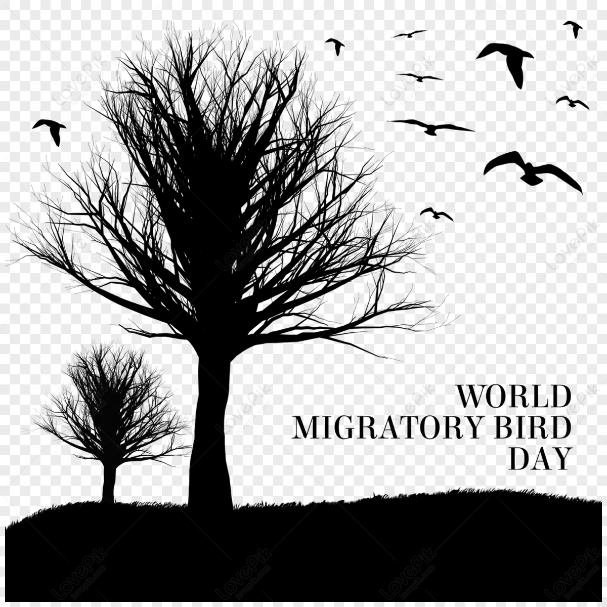 World Migratory Bird Day Dry Trees And Flying Birds,world Migrant,dai