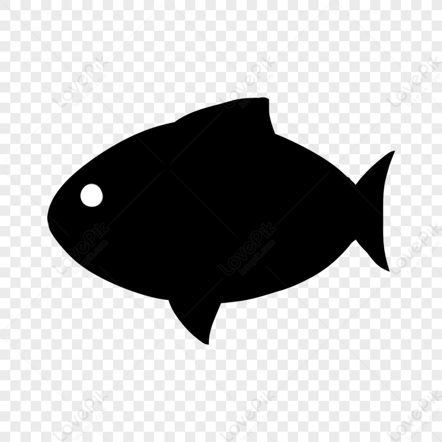 Le Poisson Est Un Animal Marin PNG , Poisson, Mer, Océan Image PNG pour le  téléchargement libre