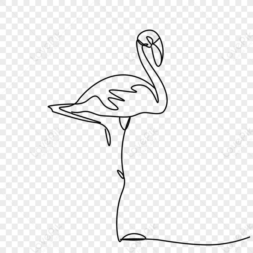 How To Draw a Flamingo | Sketch Tutorial - YouTube