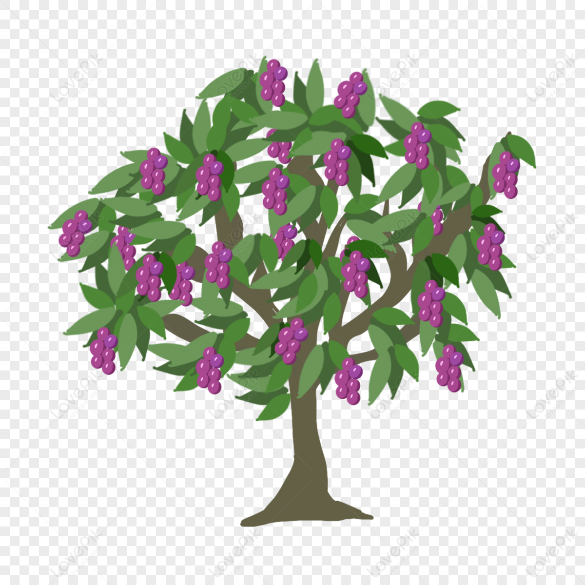 Purple Grape Cartoon Fruit Tree,trees Clip Art,delicious Fruit,fruit ...