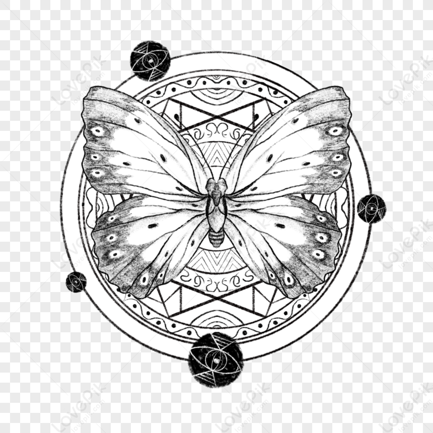 Butterfly Sternum Tattoo | Tattoo Ideas and Inspiration | Phụ nữ xăm hình, Hình  xăm ngầu, Inspiration tattoos