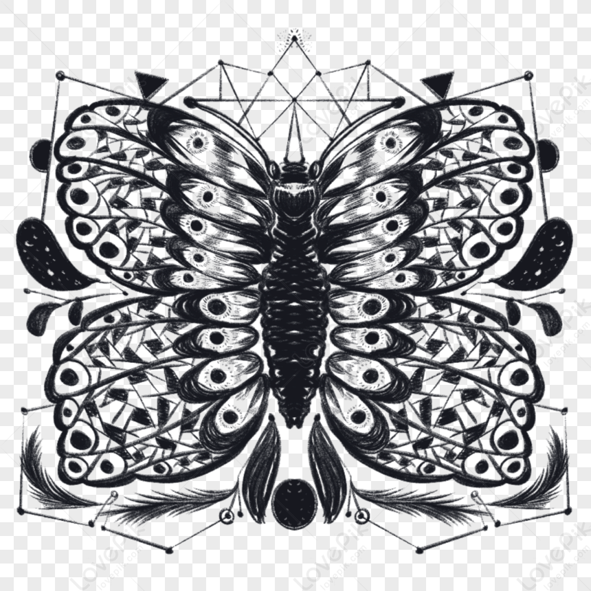 Nevertheless và ý nghĩa hình xăm bươm bướm của badboy Park Jae-eon -  BlogAnChoi