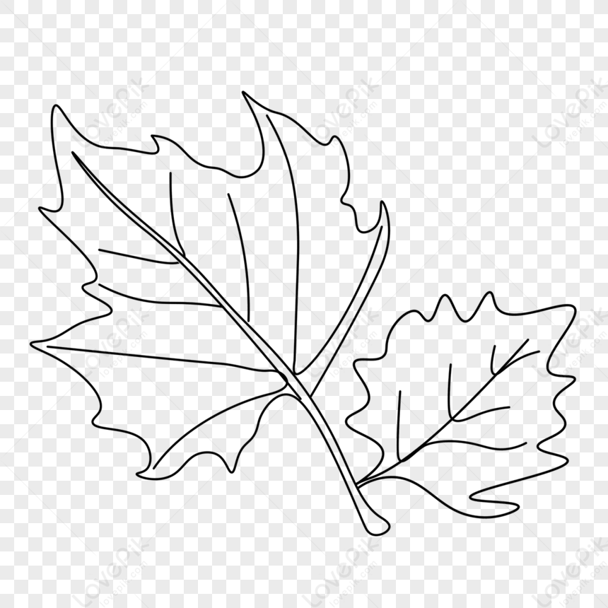 Photo de Feuilles De Plantes De Dessin Au Trait Mignon automne