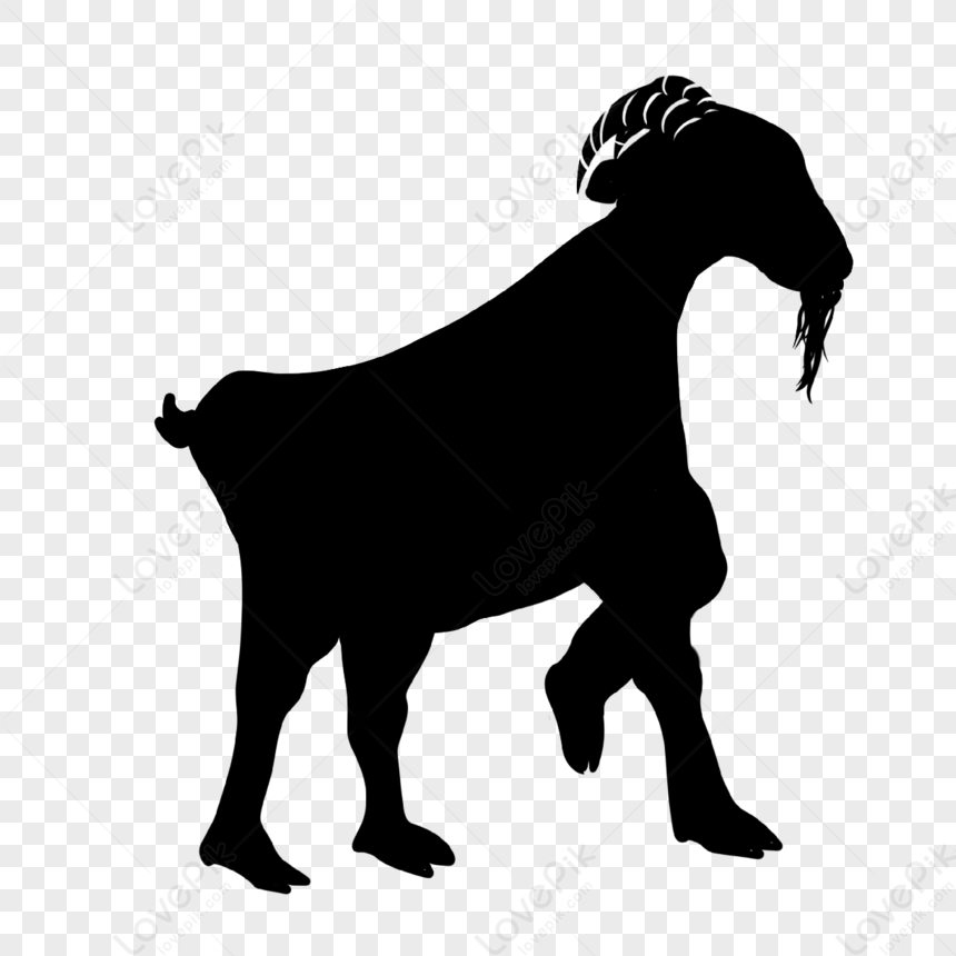 Goat Silhouette Pedaling Goatee,pedals,curly Hair,animal PNG Transparent  Image And Clipart Image For Free Download - Lovepik
