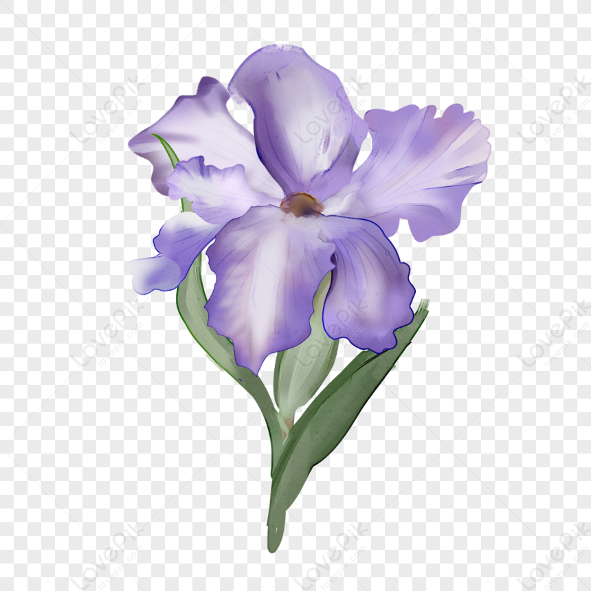 Fiori decorativi, rami, rami e foglie png