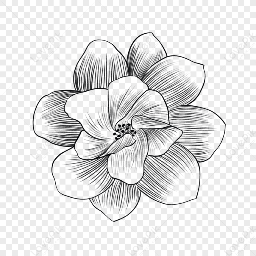 Jasmine Flower/Shakespeare Quote: Tattoo Design by FallenDarkness24 on  DeviantArt