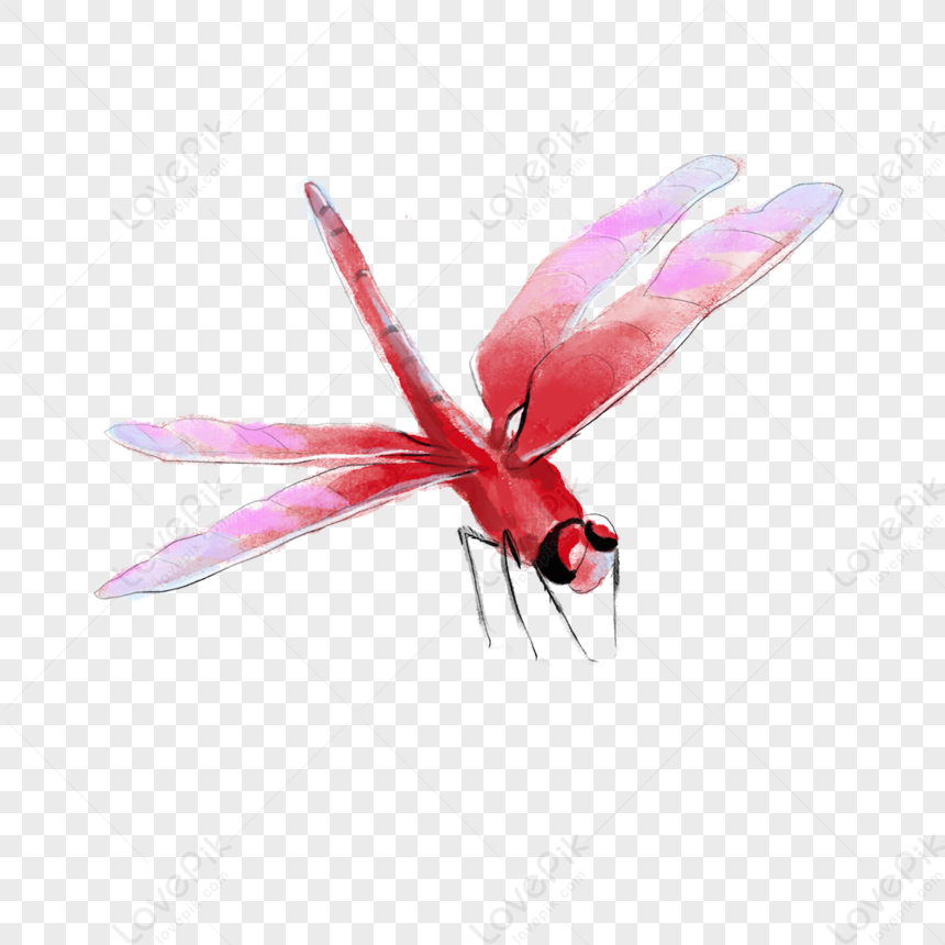 dragonflies elementals