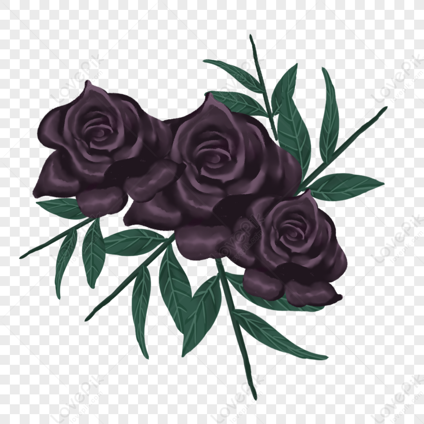 Photo de Affiche Esthétique Rose Noire,montrer,noir,style Esthétique, fleur,  noir, noir esthétique Graphique images free download - Lovepik