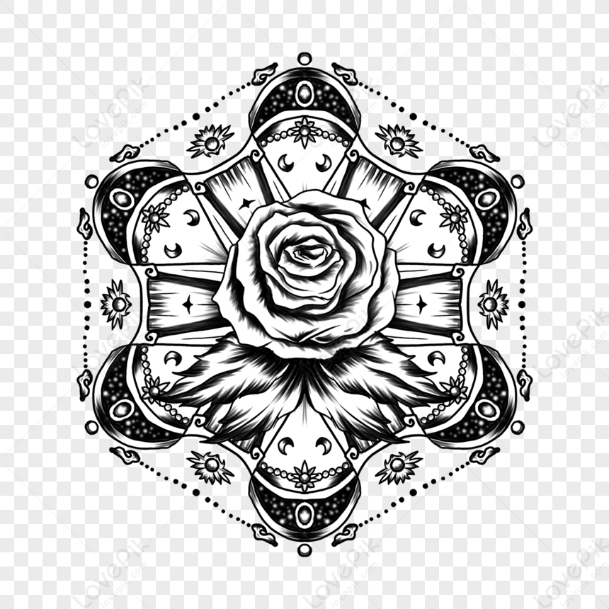 Rose Engraving Etching Flower, rose tattoo transparent background PNG  clipart | HiClipart