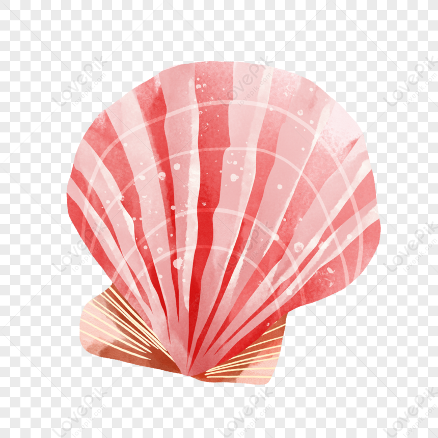 Concha do mar cor-de-rosa do scallop no fundo coral com espaço da cópia  para escrever o texto