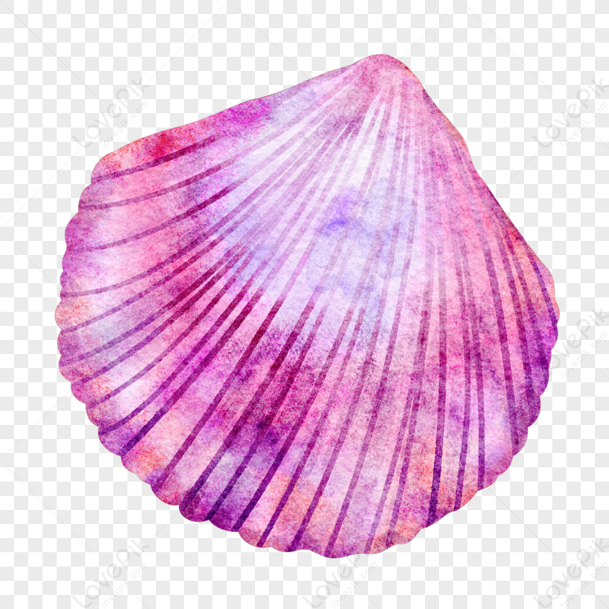 https://img.lovepik.com/png/20231031/Scallop-shell-pink-purple-fantasy-pictures-purple-shells-Scallop-in_432552_wh860.png