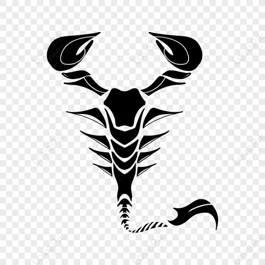 30+ Drawing Of A Simple Scorpion Tattoo Stock Photos, Pictures &  Royalty-Free Images - iStock