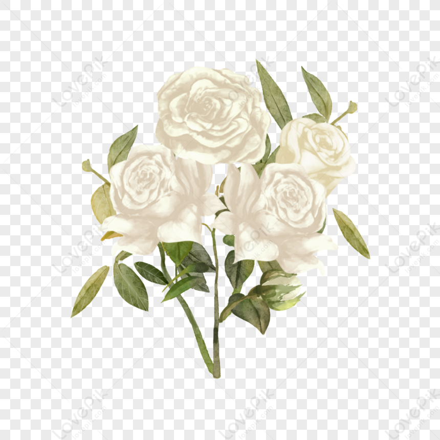 Biglietto Di Auguri Floreale Matrimonio Acquerello Rose Bianche