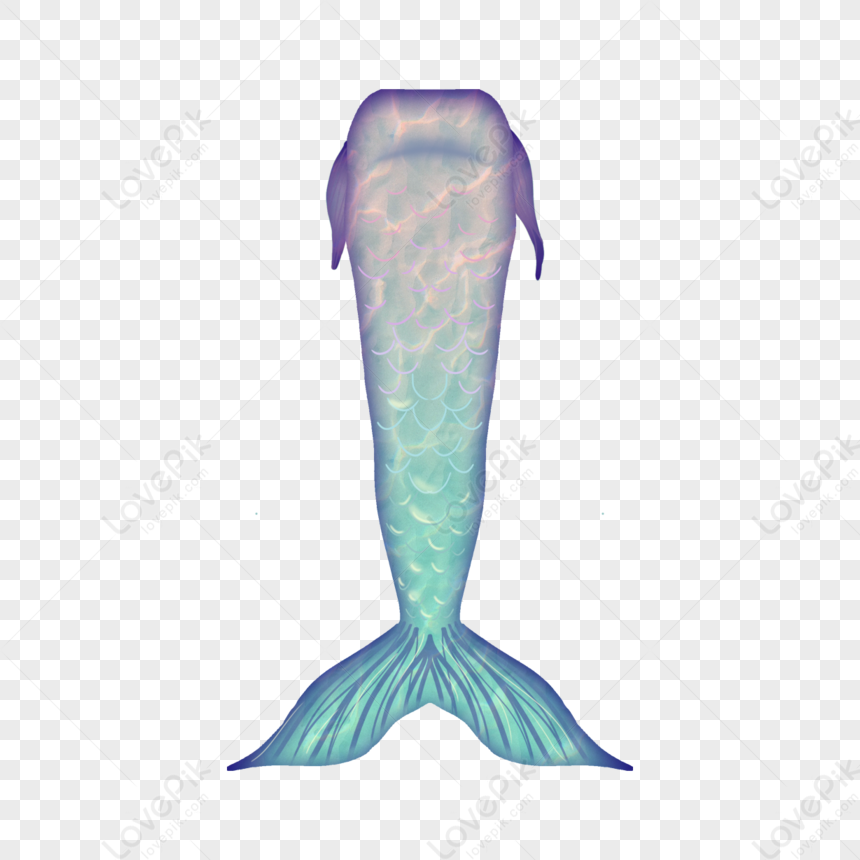 Coda di sirena png