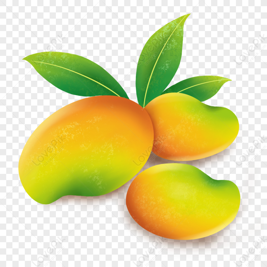 alphonso mangue png