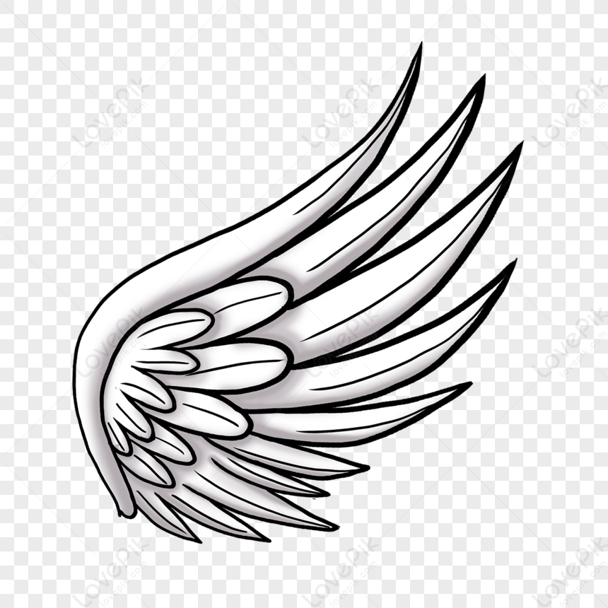 Realistic angel wings. Cartoon hand drawn pair of falcon wings, sketch bird  wings design template. Vector concept white cute feathered wing animal on  white background 9656768 Vector Art at Vecteezy