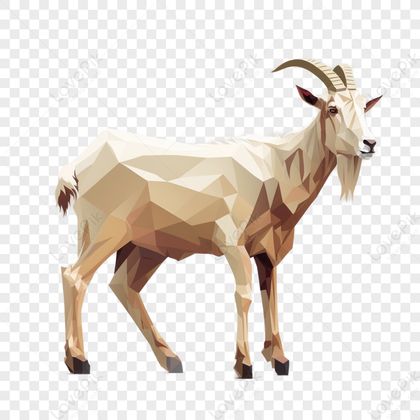 hình ảnh : đồng cỏ, thú vật, Động vật hoang dã, con dê, sừng, bầy đàn, Đồng  cỏ, chăn thả gia súc, Cừu, nâu, Động vật có vú, Động vật, Động vật