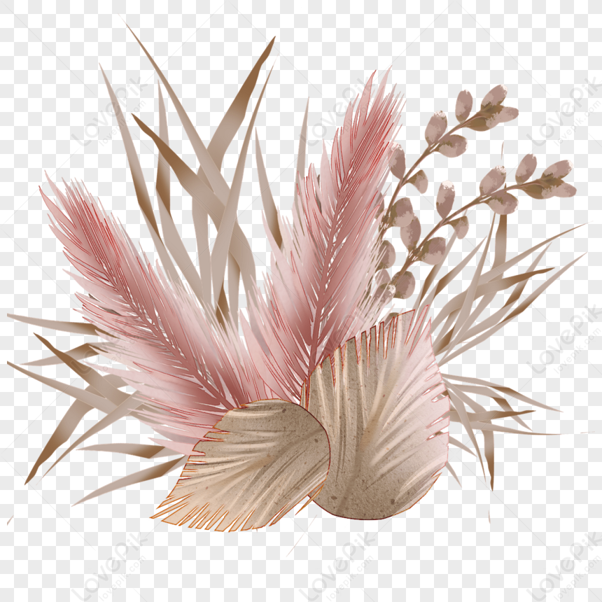 https://img.lovepik.com/png/20231104/Pampas-grass-branches-and-stems-watercolor-decoration-floral-leaf_482429_wh860.png