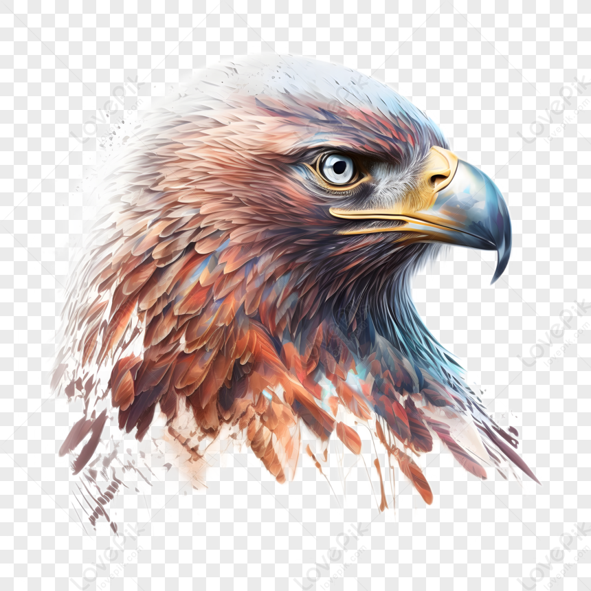 Saratoga Eagle - Anime Girl And Eagle PNG Transparent With Clear Background  ID 193484 | TOPpng
