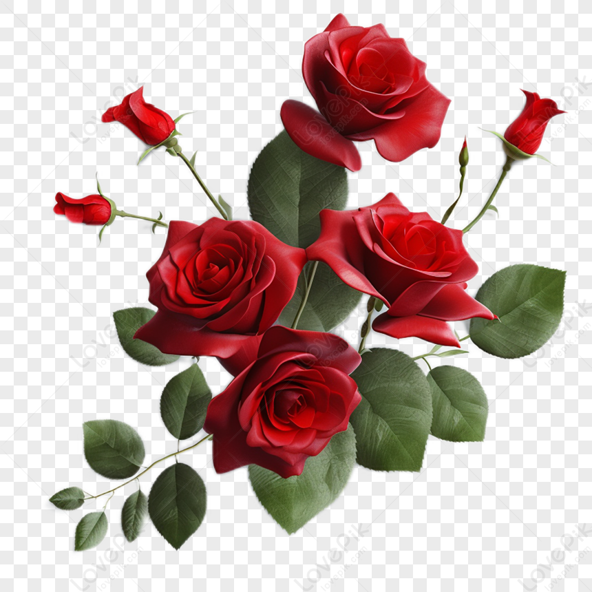 Combinazione Di Fiori Di Rosa,san Valentino PNG Immagine Gratis, Grafica  download su Lovepik