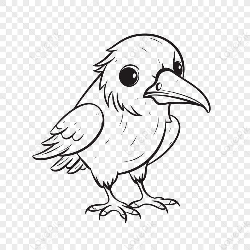 cartoon crow illustration outline sketch drawing vector easy raven coloring 530969 wh860