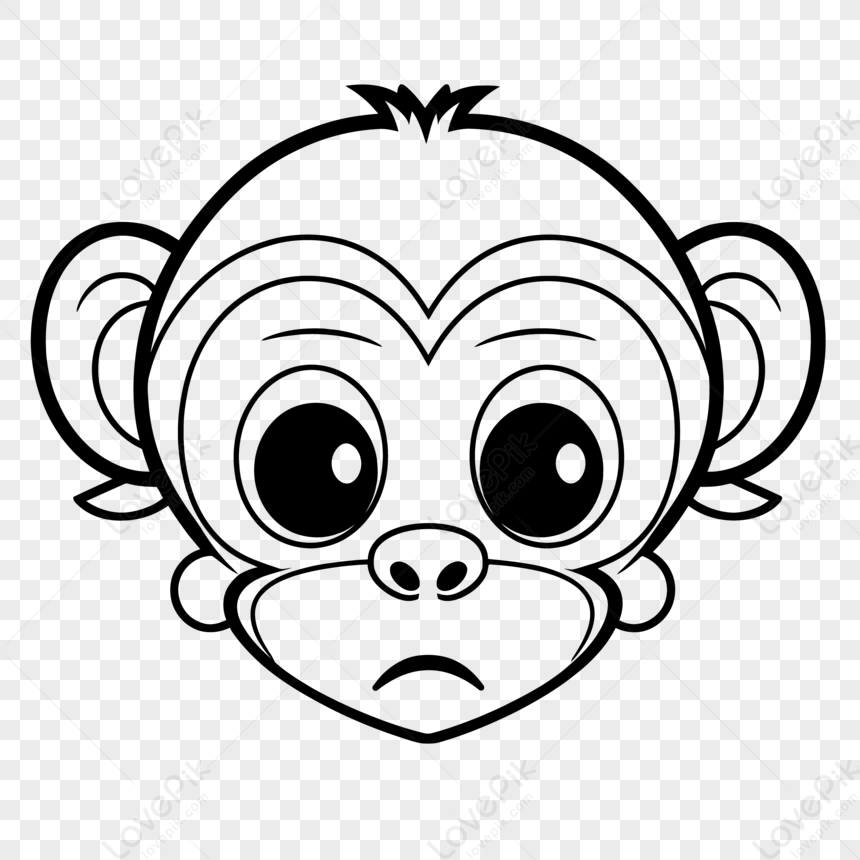 How to draw a Cartoon Monkey