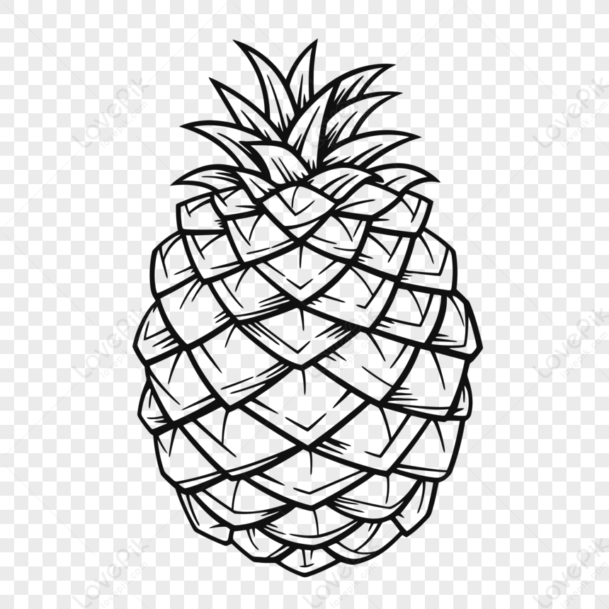 Free: Pineapple, Drawing, Watercolor Painting, Ananas PNG - nohat.cc