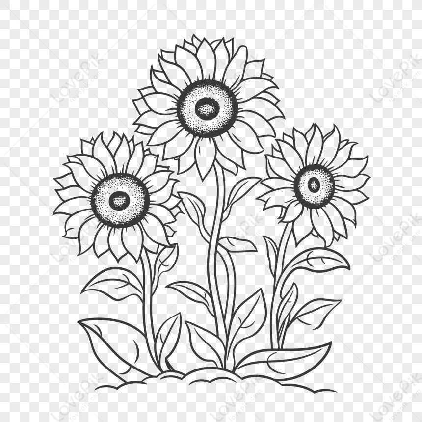 Simple Outline Sunflower Drawing, Sunflower SVG Cut File, Instant Digital  Download Vector Files, Floral Png, Black and White Flower Art - Etsy Finland