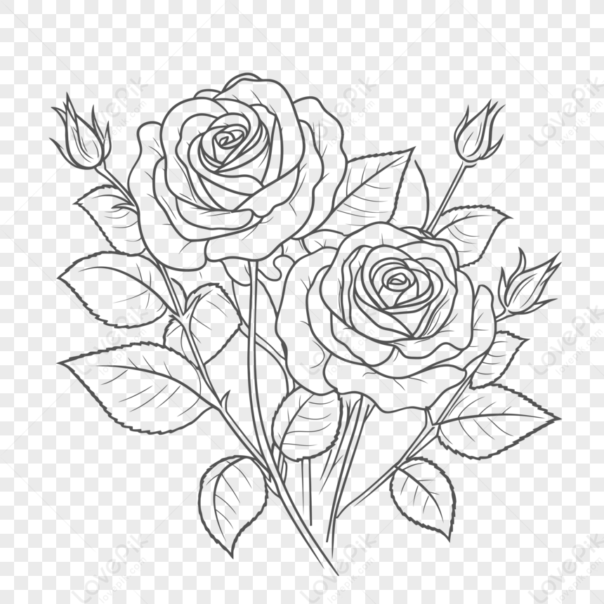 Buy Rose Line Art Black Rose Outline Rose Svg Floral Svg Rose Clip Art Rose  Template Flower Line Art Online in India - Etsy