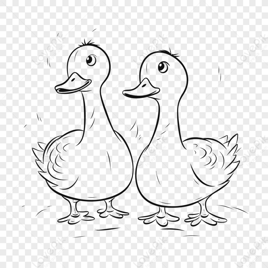 Two Ducks Smiling At Each Other Coloring Page Outline Sketch Drawing ...