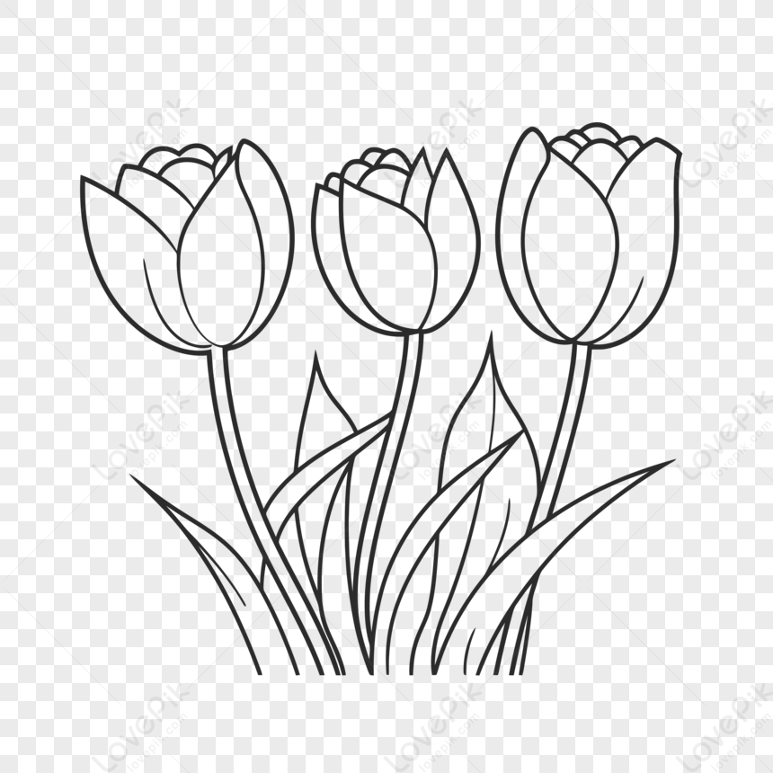 Картинки для раскрашивания цветы тюльпаны (66 фото)