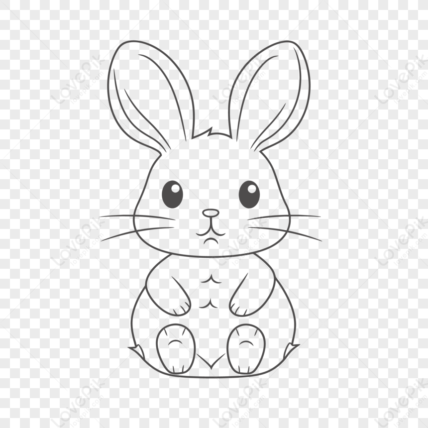 Раскраска кролик для детей