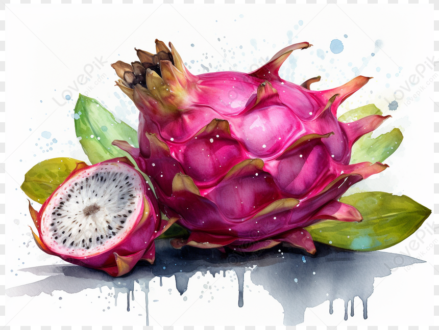 Vector Yellow Dragon Fruit Illustration Royalty Free SVG, Cliparts,  Vectors, and Stock Illustration. Image 82761028.