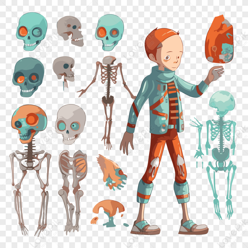 Anatomia Umana Vettoriali, Illustrazioni e Clipart