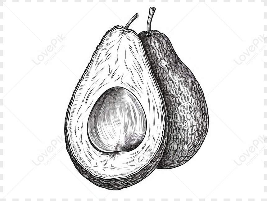 Due Metà Tagliate Di Avocado Fresco,avocado Fresco,fresco,verde PNG  Immagine Gratis, Grafica download su Lovepik