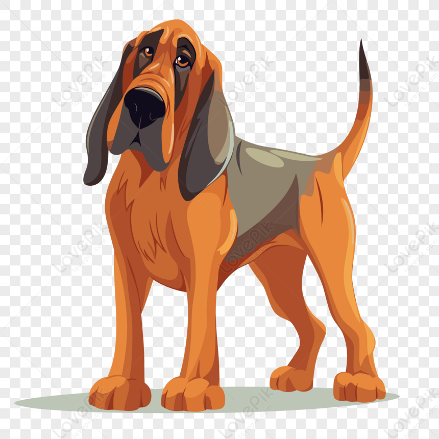 bloodhound dog clipart transparent