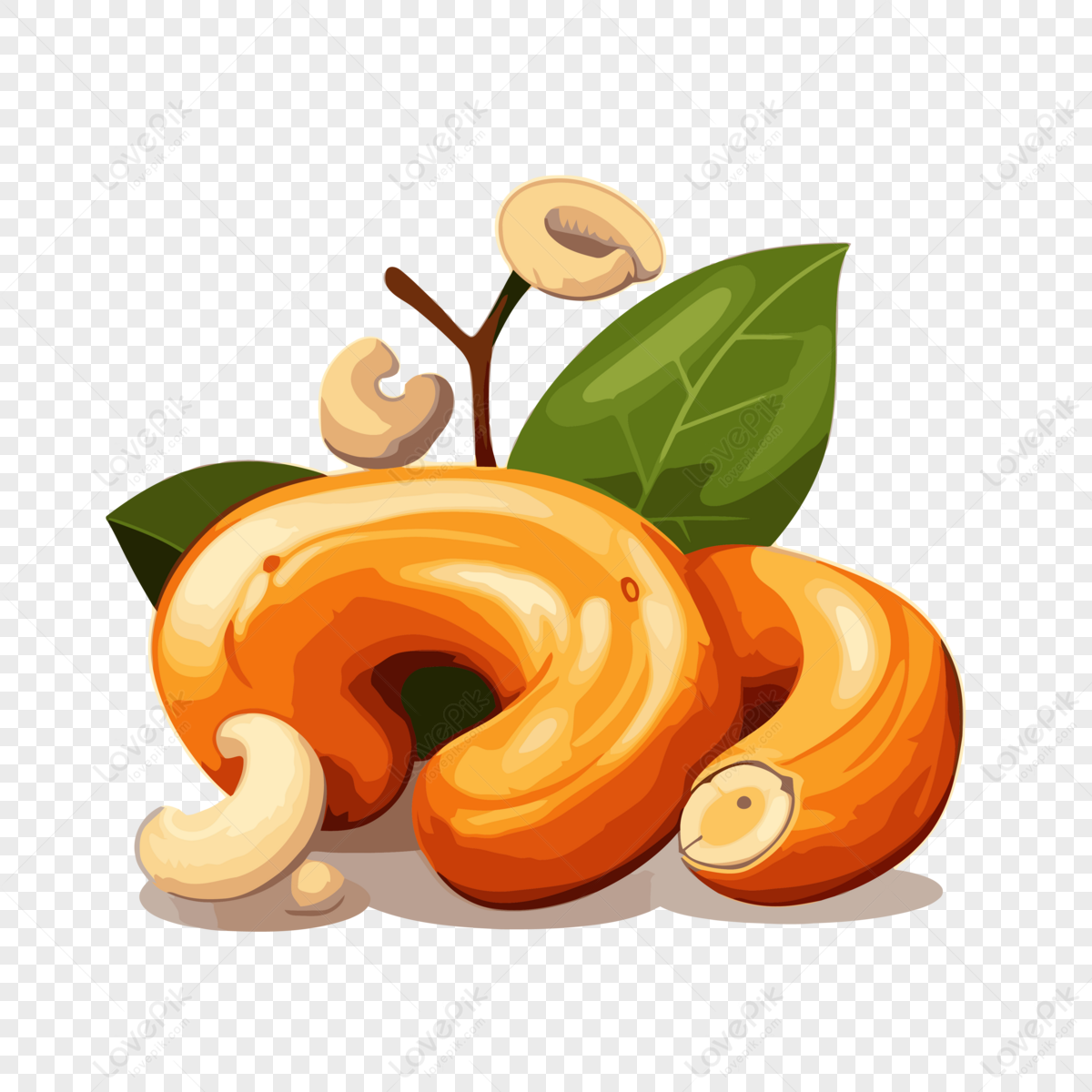 Cashew Clipart Cashew Nuts Isolated Hd Illustration Cartoon Vector ...