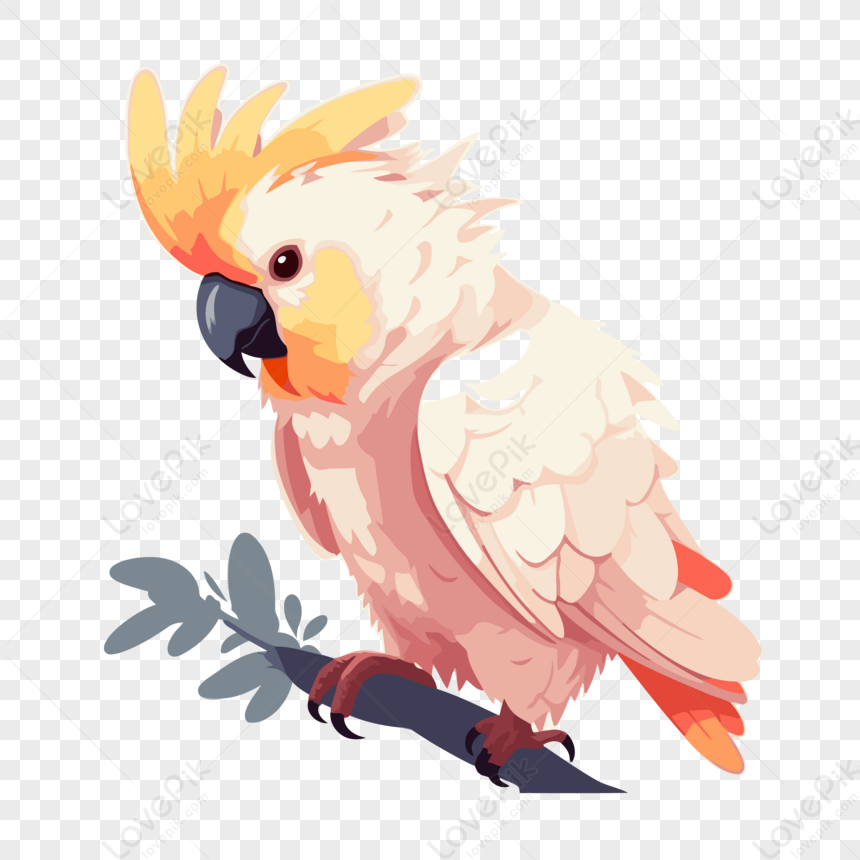 Cockatoo Clipart Vector,cartoon,tails,wing PNG Picture And Clipart ...