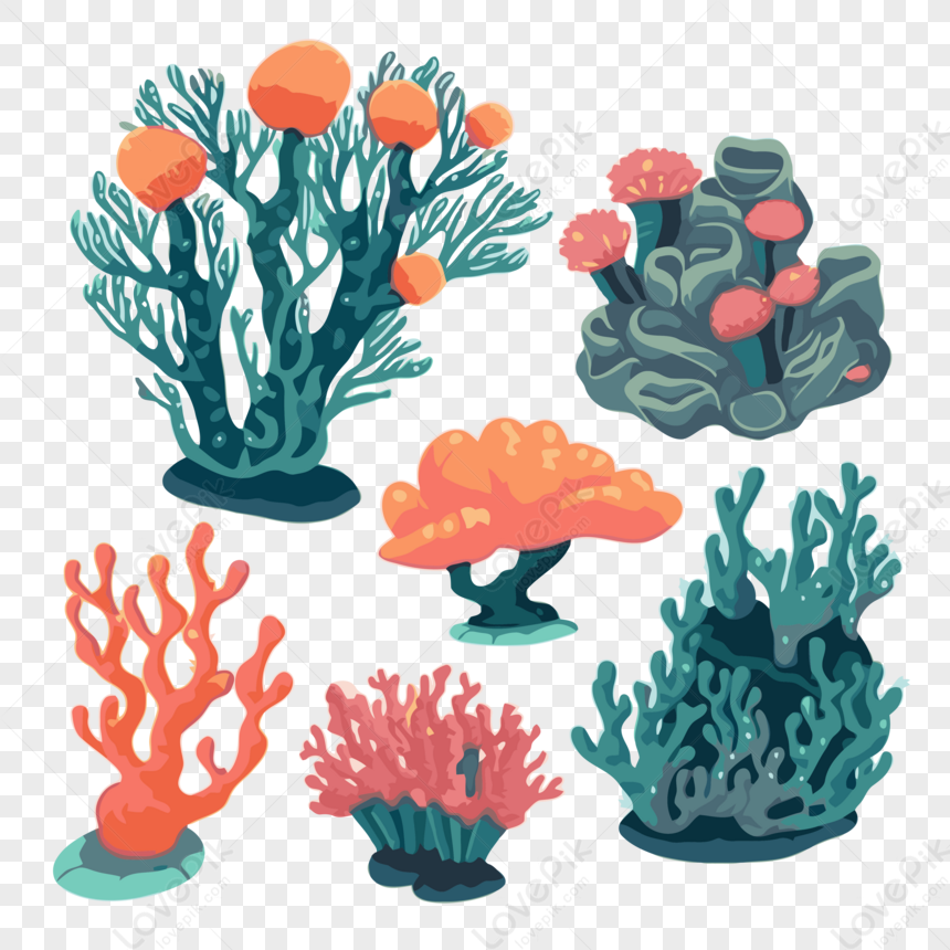 Коралловый риф. Раскраска-антистресс для творчества и вдохновения.