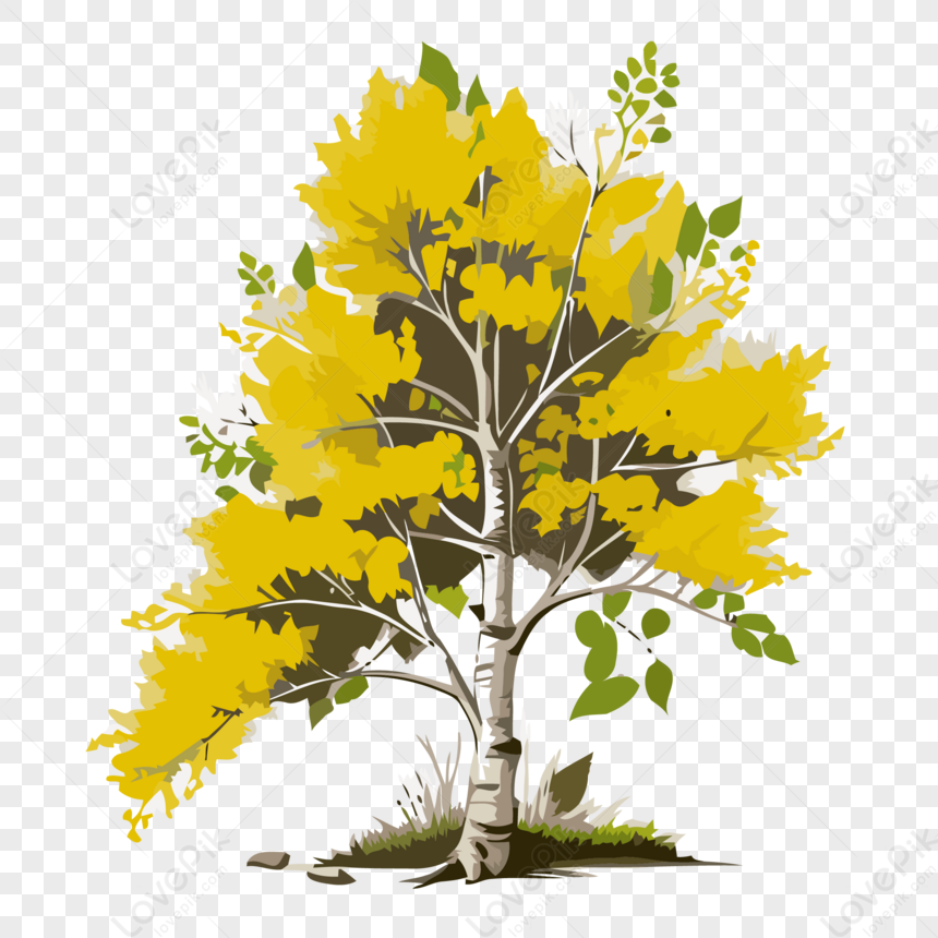 Aspen Tree Vector,cartoon,sticker PNG White Transparent And Clipart ...