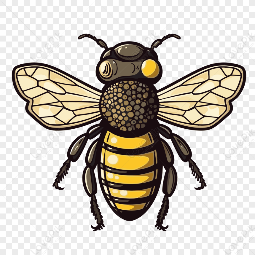 Bee Wing,cartoon,bees,sticker PNG Picture And Clipart Image For Free ...