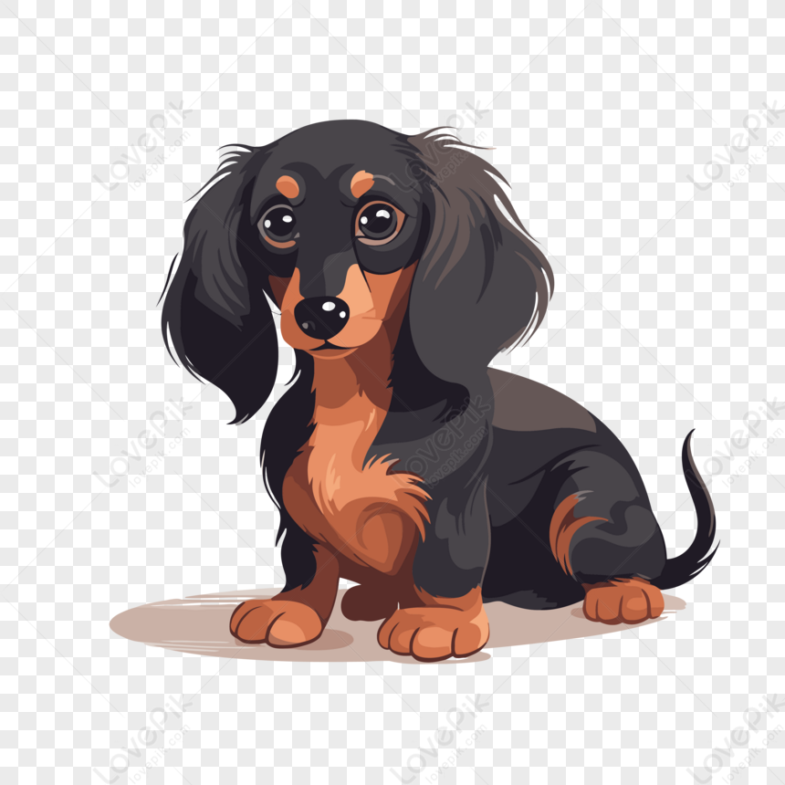 Perro Salchicha Gratis PNG ,dibujos Pegatina Clipart Lindo Perro