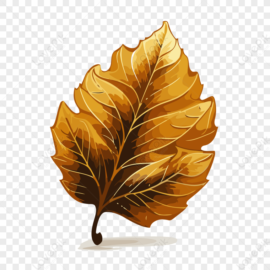 animation de chute de feuilles