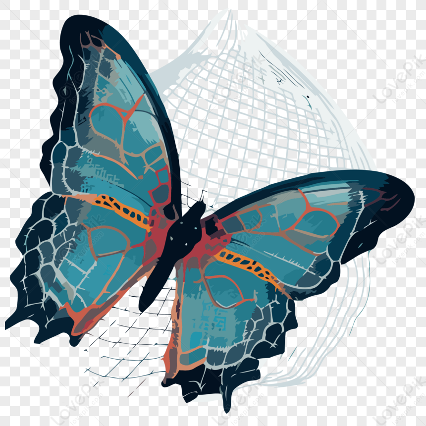 Butterfly Net Vector,cartoon,sticker PNG White Transparent And