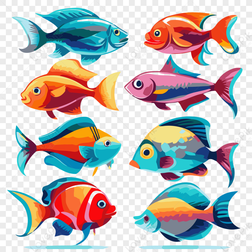 Color Fish Vector,cartoon,colorful Fish,sticker PNG White Transparent And  Clipart Image For Free Download - Lovepik
